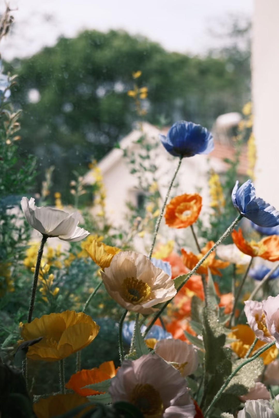 2026全国寻春地图春天是最适合做Color walk的季节，五颜六色的世界里，