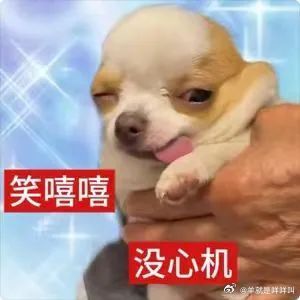 嗑什么bg 呢 ​​​