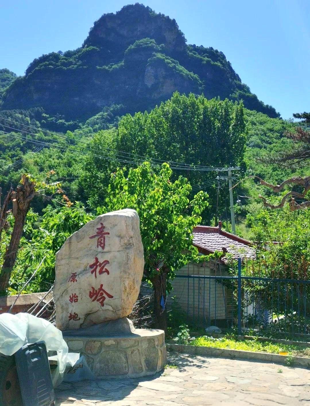 少年游 · 青松岭

童山昔日卷尘沙。光秃渺芳华。臂扬铁镐，衣凝霜雪，飞汗植烟霞