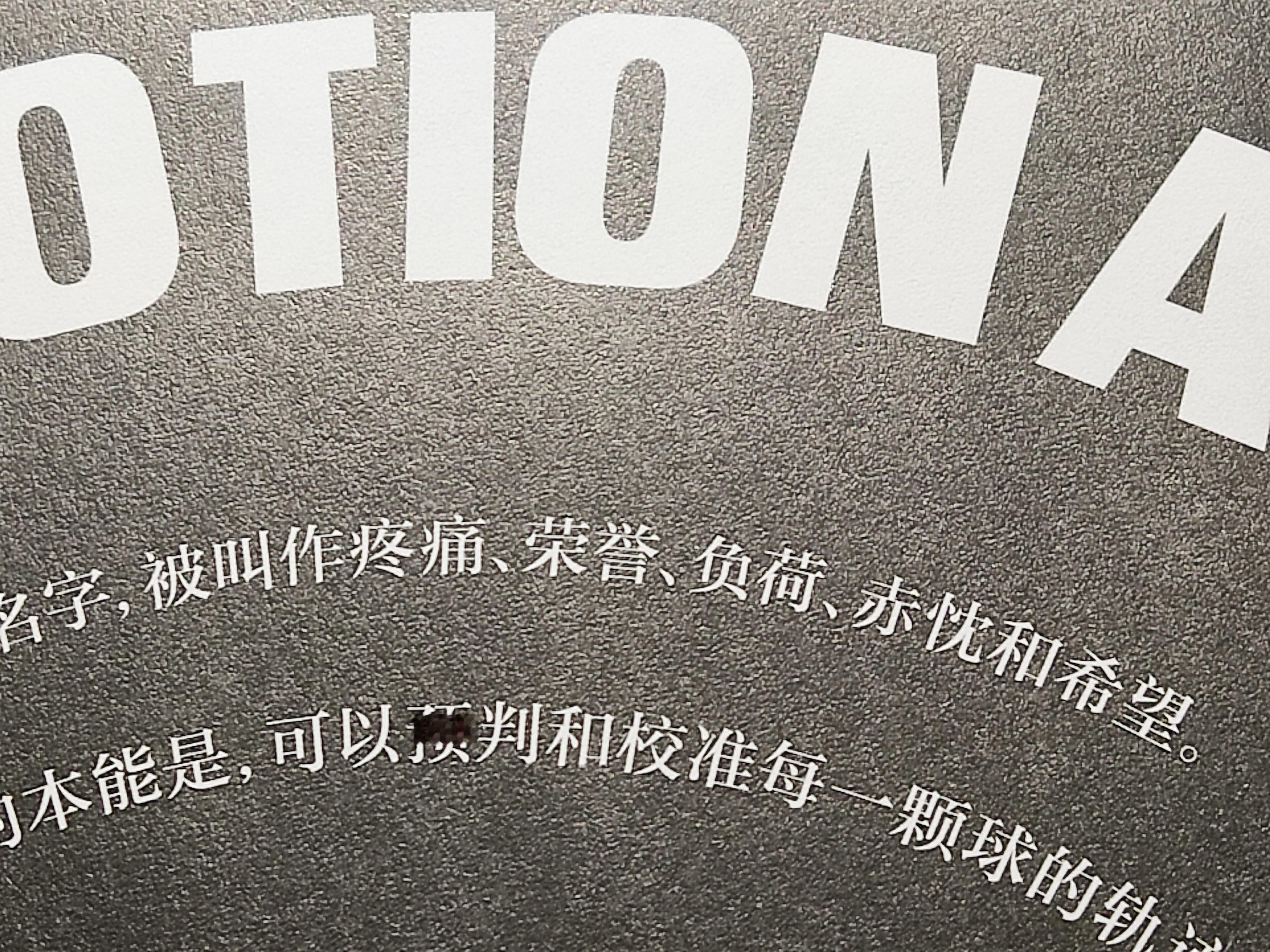 疼痛、荣誉、负荷、赤忱和希望 ​​​