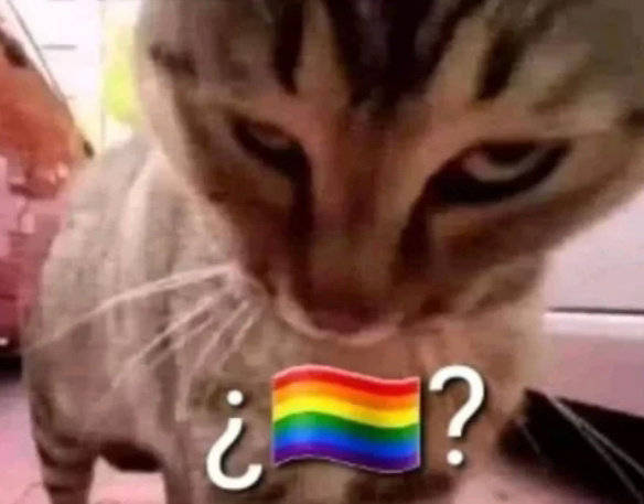 5944【tg】宝宝们我想要这个凝视猫的原图和其他类似角度的猫猫狗狗图🥺春日放