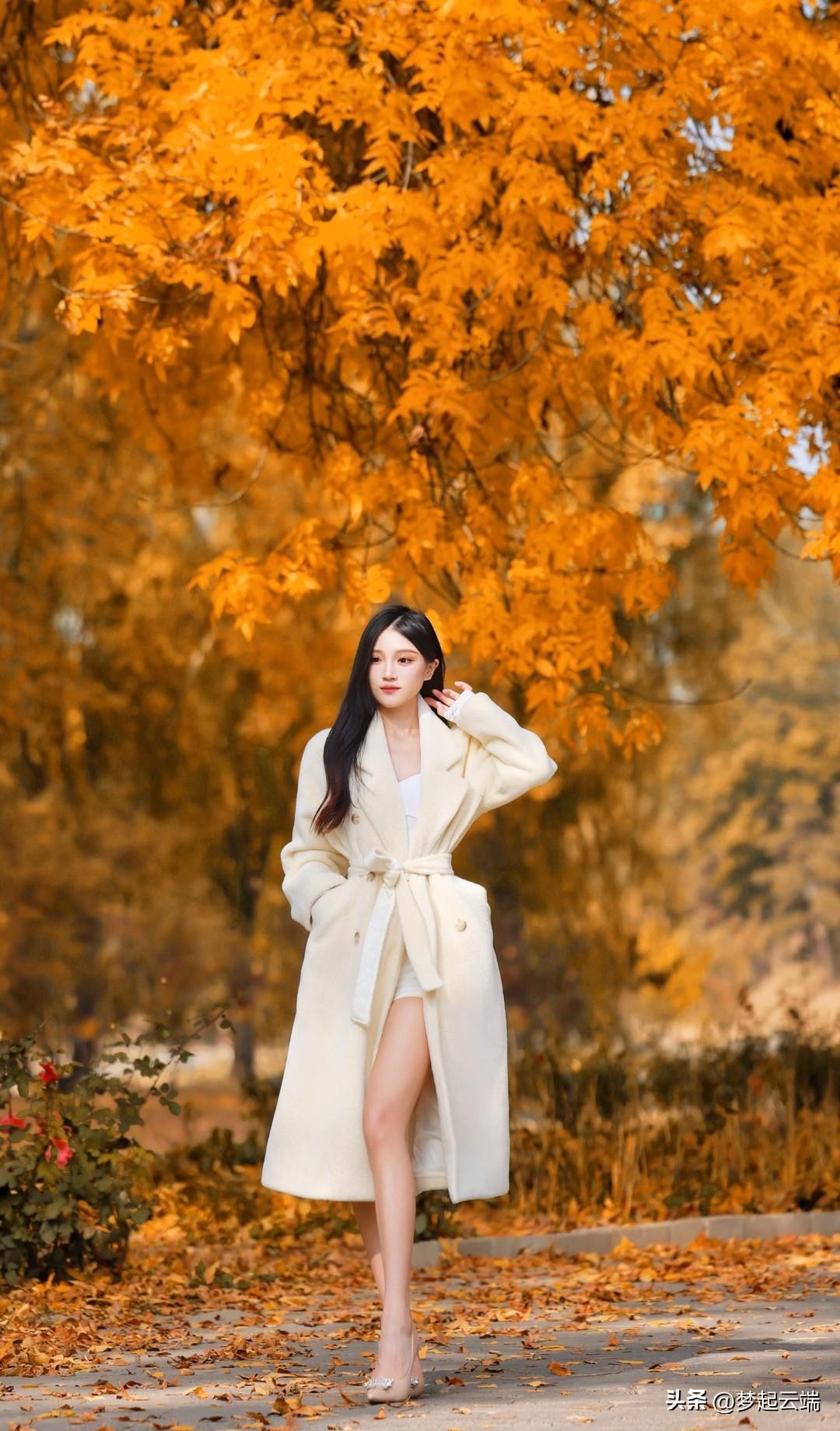 秋日漫步，落叶纷飞，优雅风衣，尽显温柔。