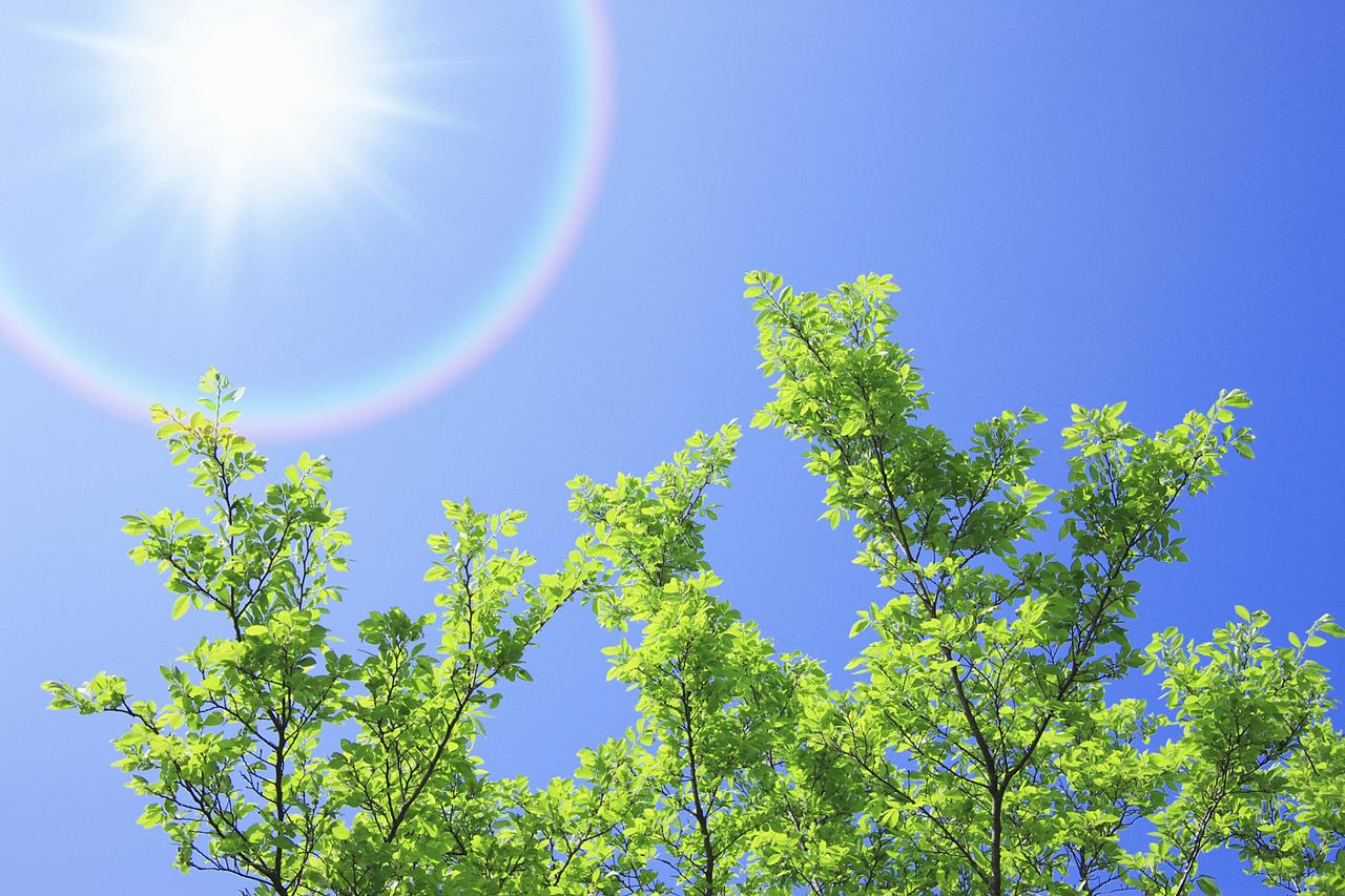 宜昌的太阳终于“返工”了！

9到19度的晴天真的太治愈，连着几天阴雨攒的霉味都