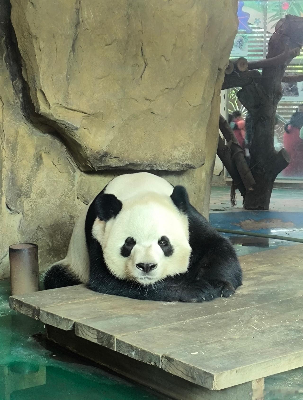 终有一天，你会发现什么都是假的，但你却认真了一辈子！！！ 