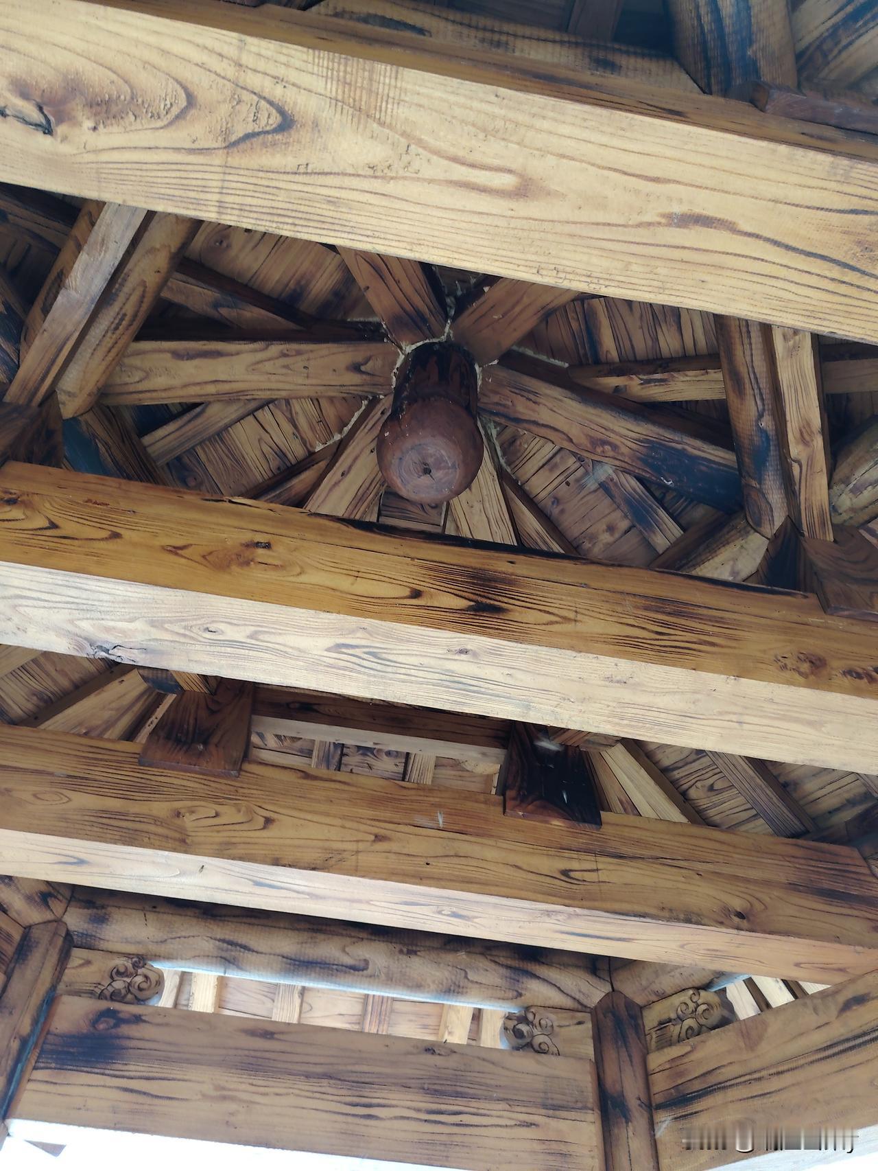 下午午睡了半小时以后，从病房出来沿着医院周围走走，并且看看周围的树木。
来到一个