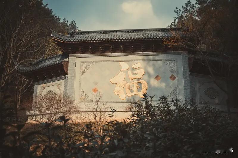家宅和暖，福慧自生

人间万千光景，抵不过家宅一隅的灯火可亲。家从不是一座冰冷的
