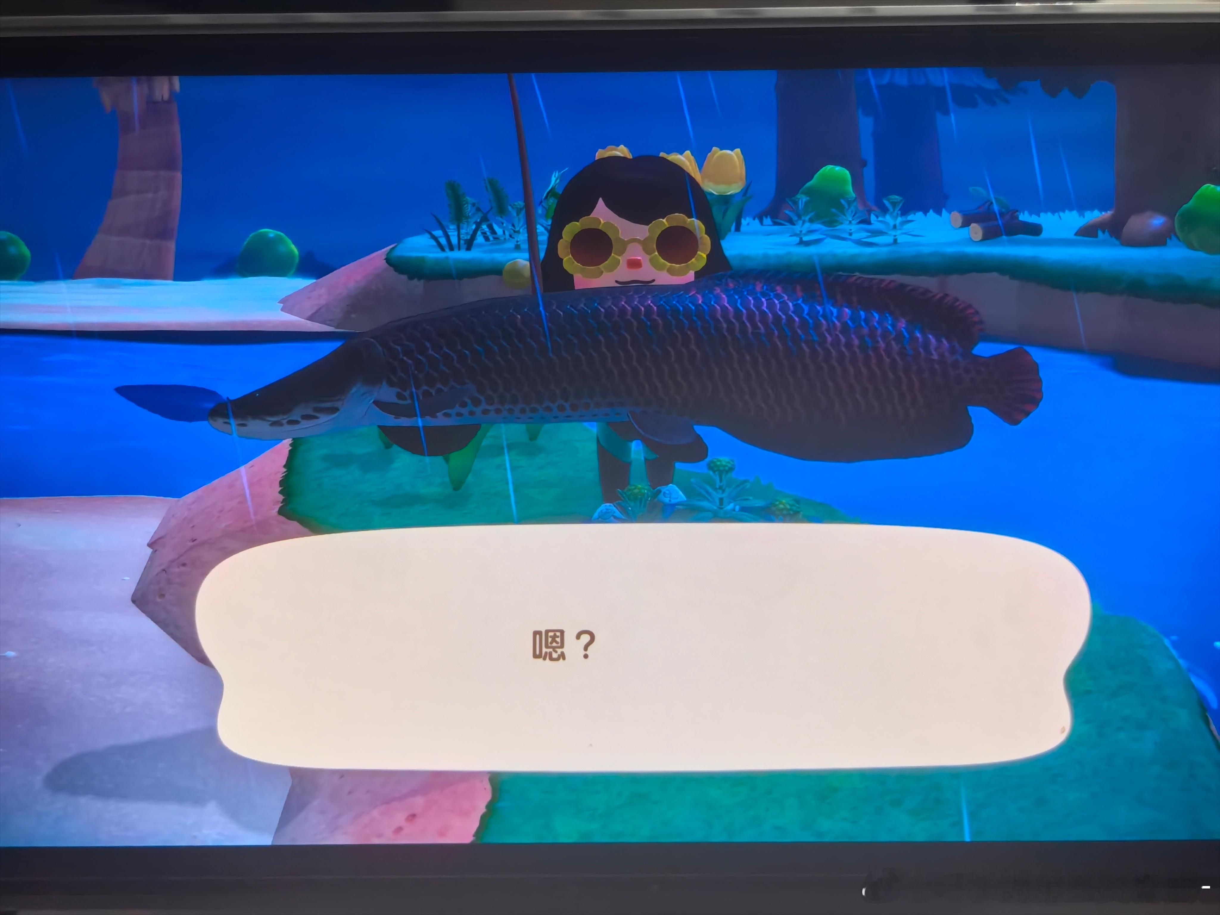 看看大鱼吧！！ 