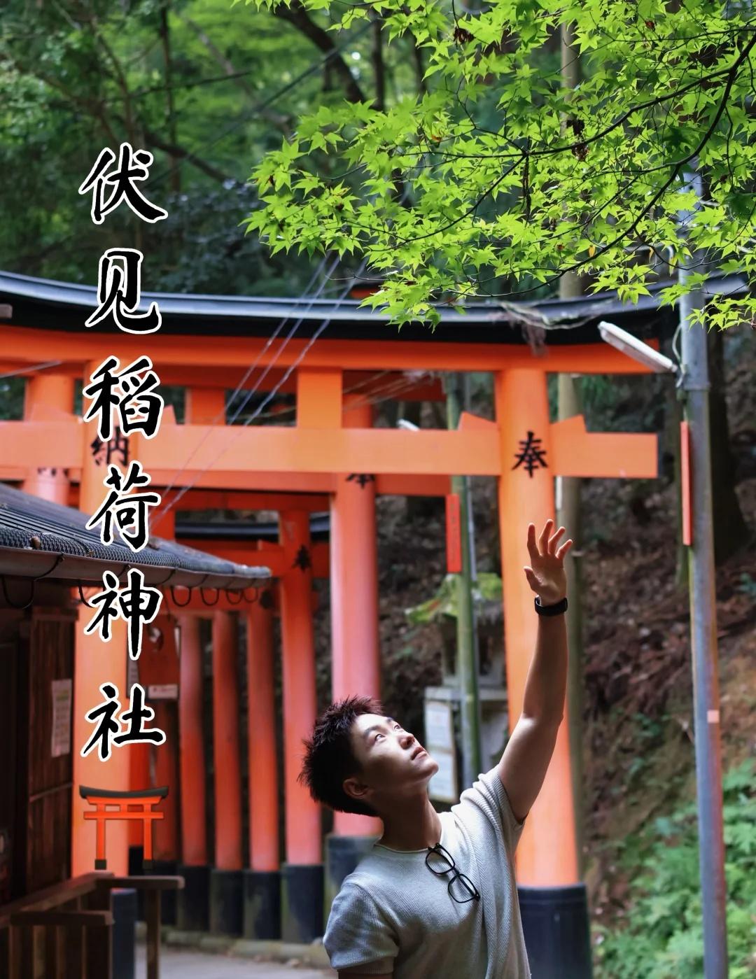 伏见稻荷神社是一个著名的“徒步”景点⛩️
不是简单的寺庙
建议大家可以把这里当成