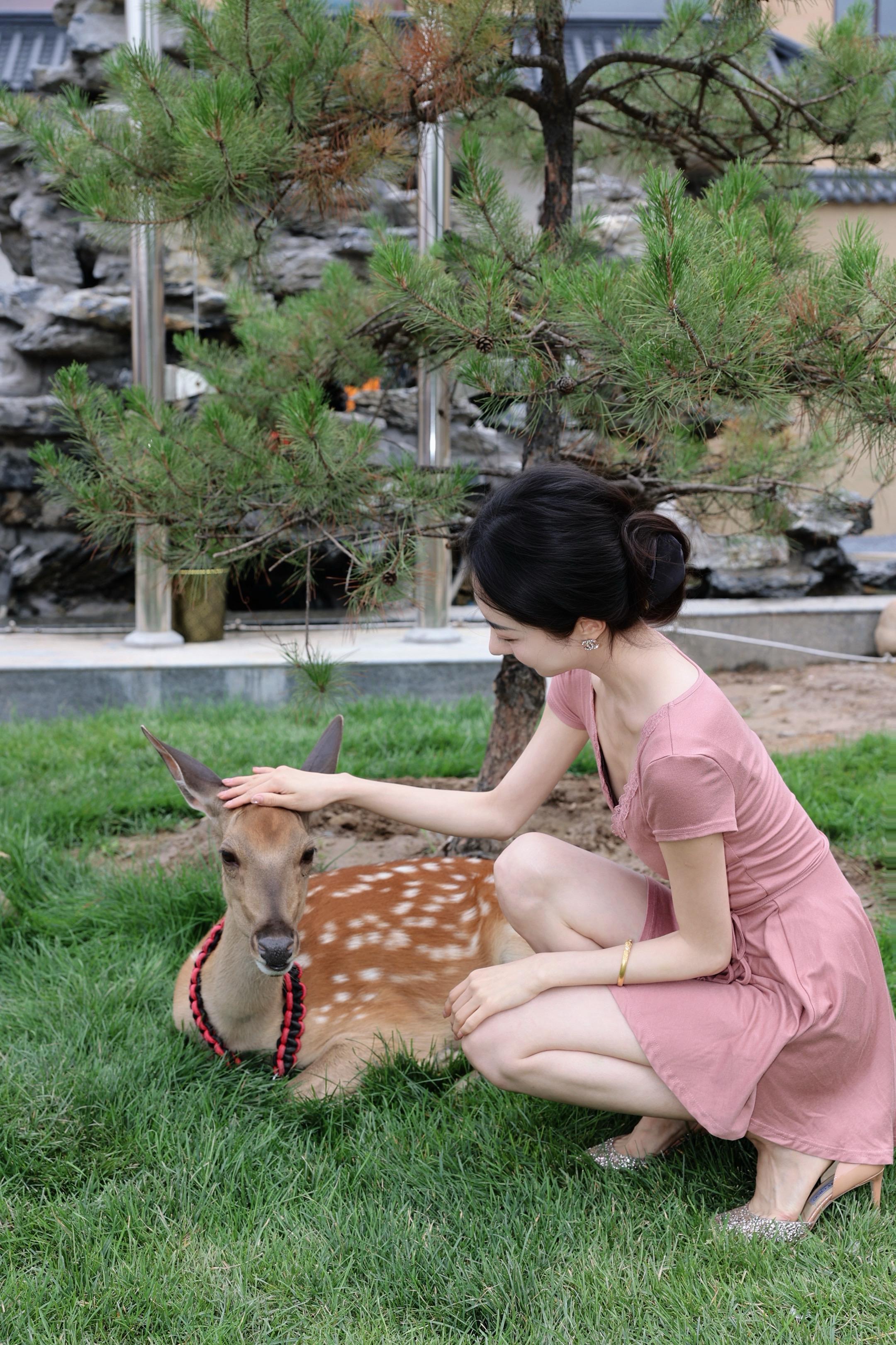 浮生若梦 为欢几何