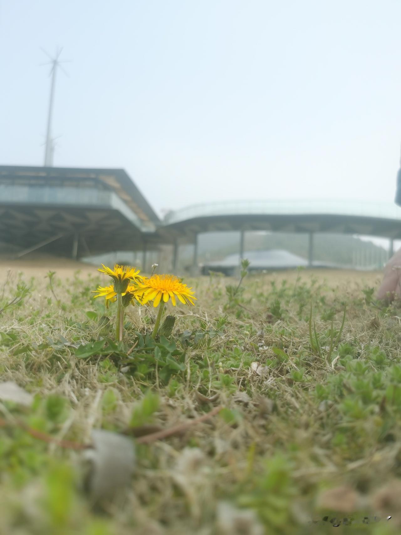 2025-2026CBA常规赛还有最后一轮就要结束了，四川队能不能赢回一场？绝对