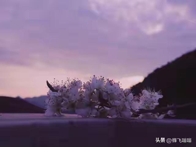 很多人都以为，省钱=会过日子，省得越狠，钱包就越鼓。
可现实往往很扎心：越是拼命