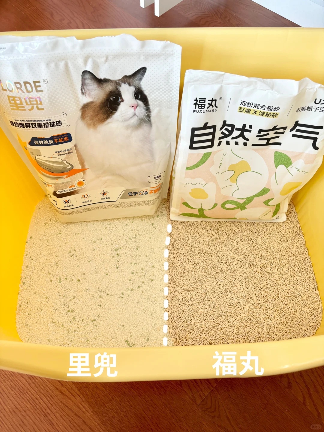 我宣布！这两款除臭木薯砂直接封神！！！