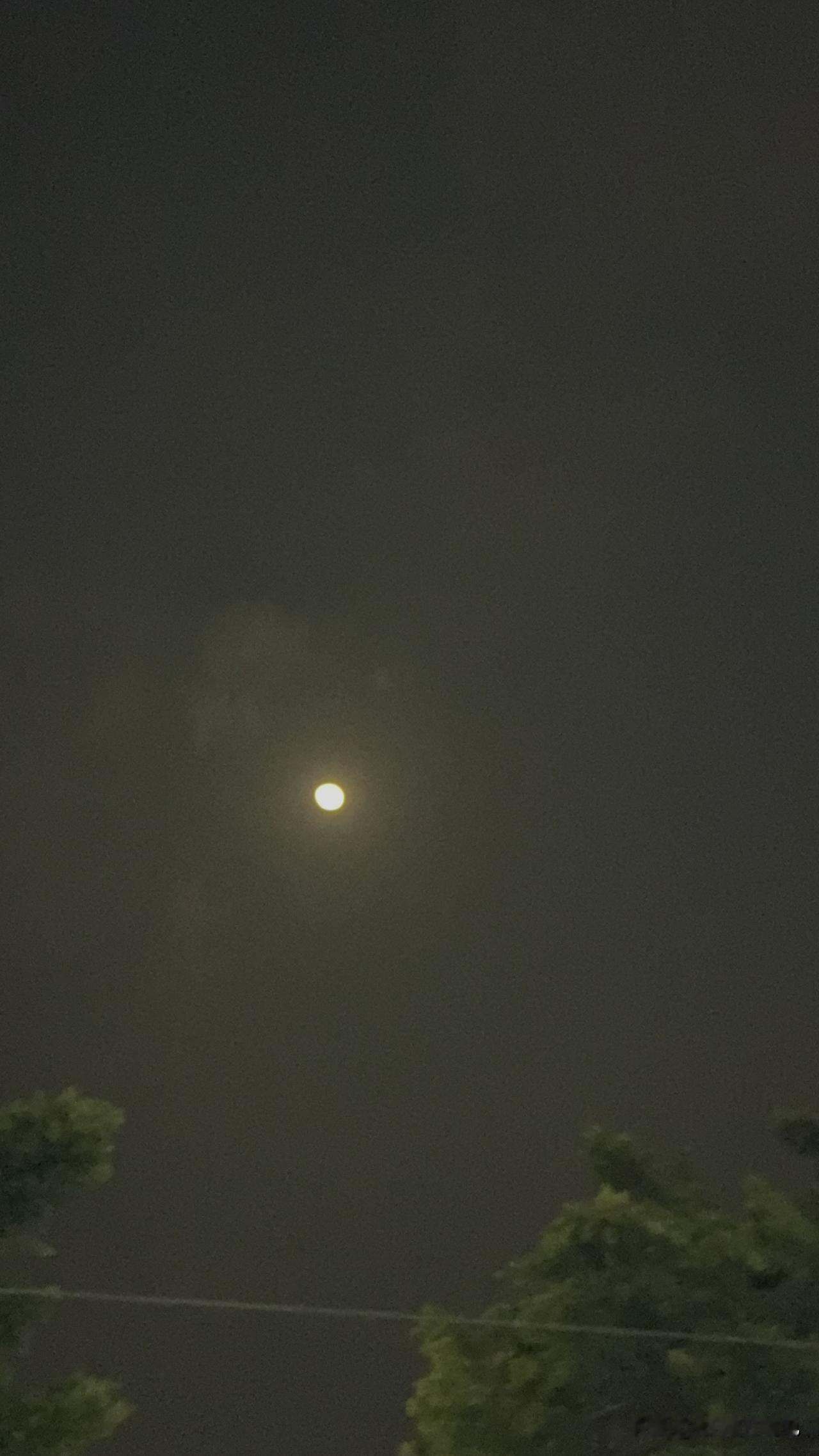 千里共明月举头望明月