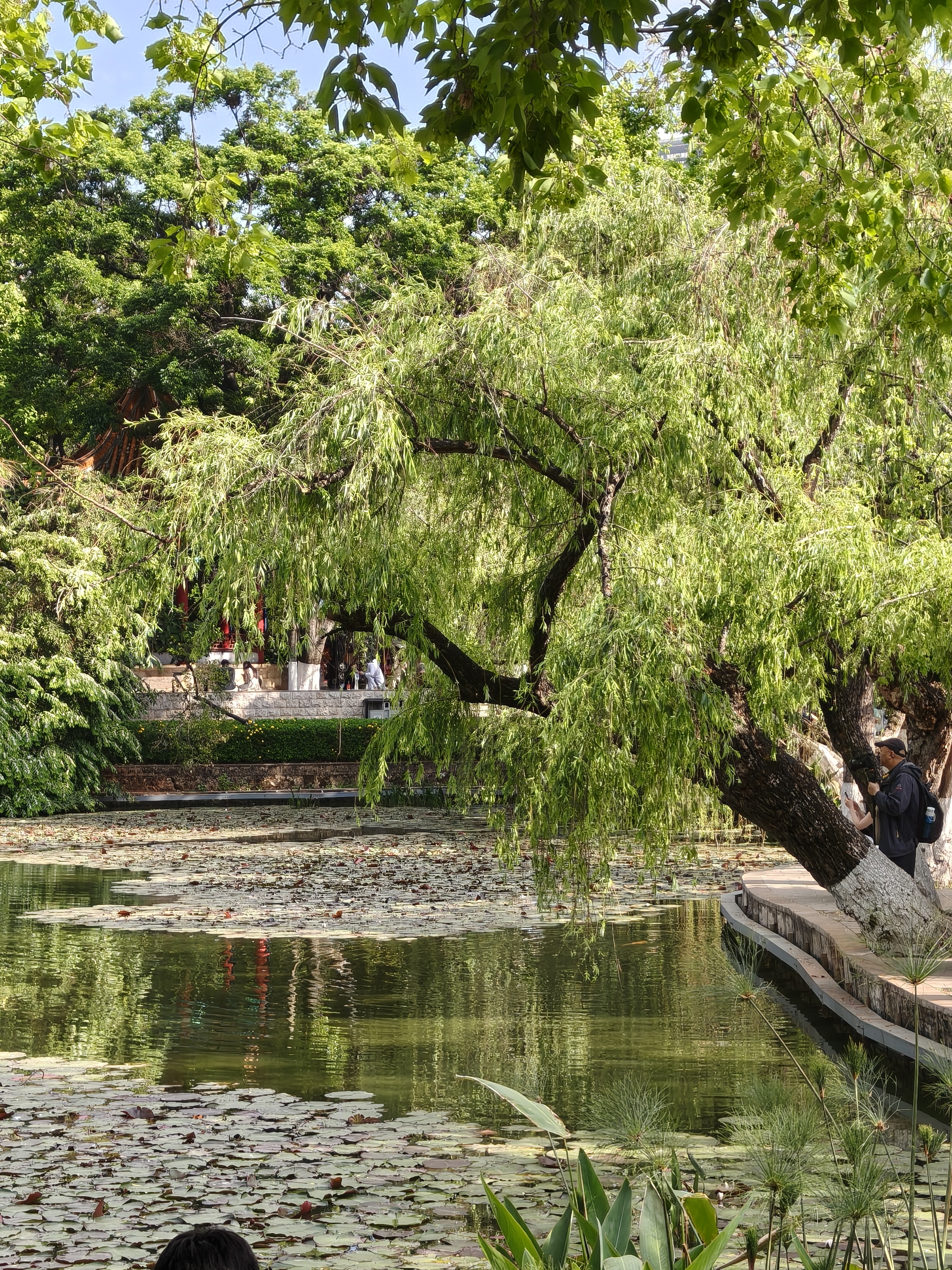 翠湖逛逛，然后去参观一下高级住宅，图5这两个有种莫名其妙的喜感