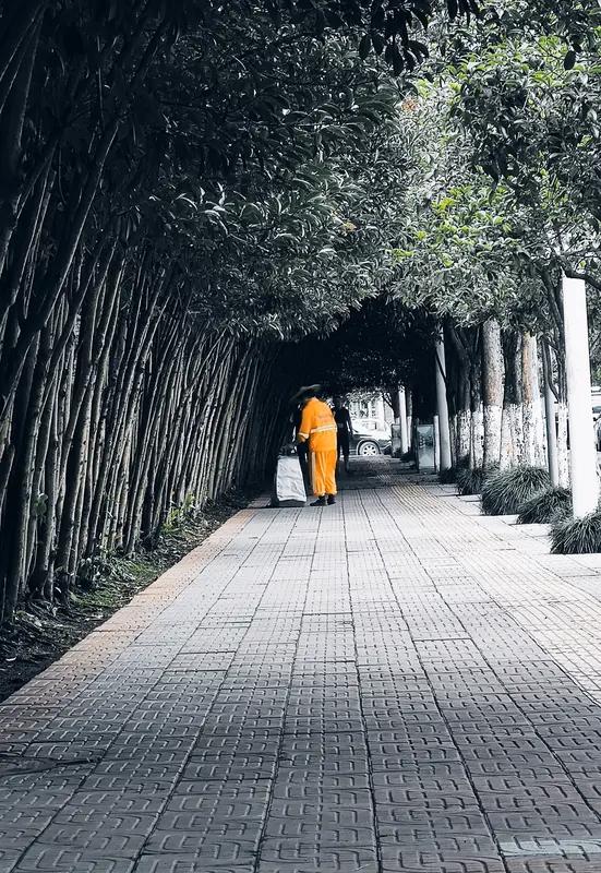 什么才叫真正的修行真正的修行，是于日常中修正言行，滋养心性。它不在深山古寺，而在