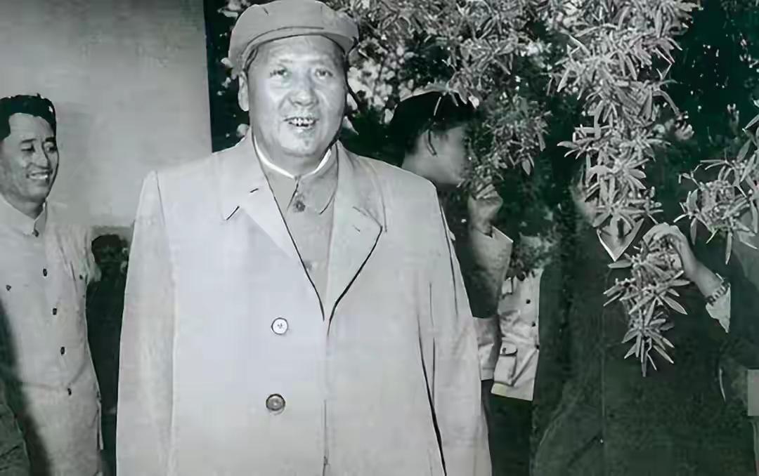 1952年，毛泽东到山东参观孔庙时，许世友忍不住吐槽说：孔家可真是全国的第一号大