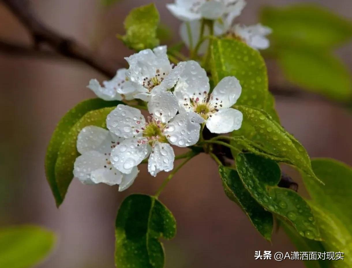 夫妻吵架：男人最恨女人的几点
夫妻之间的争吵是生活中不可避免的一部分，然而在这些