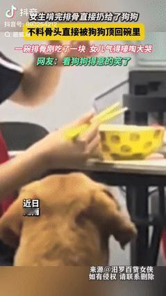 “真成精了？”湖南一女孩在吃排骨吗，刚吃了一块，将骨头扔给狗狗，没想到狗狗直接将