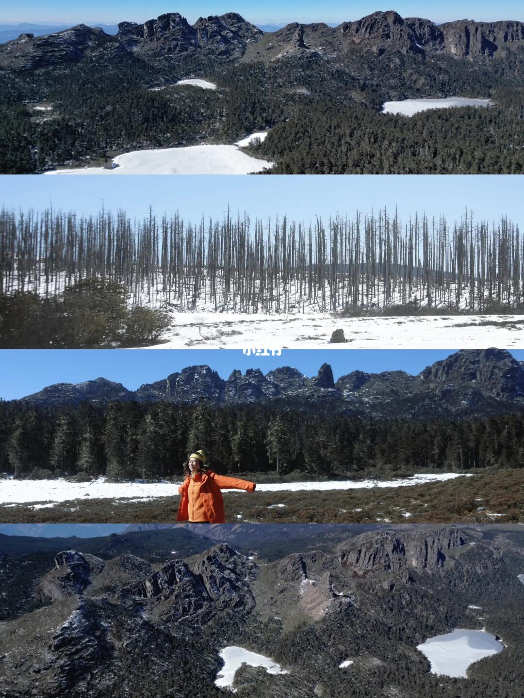 咱云南野生菌有我们自己的“哈尔滨”～