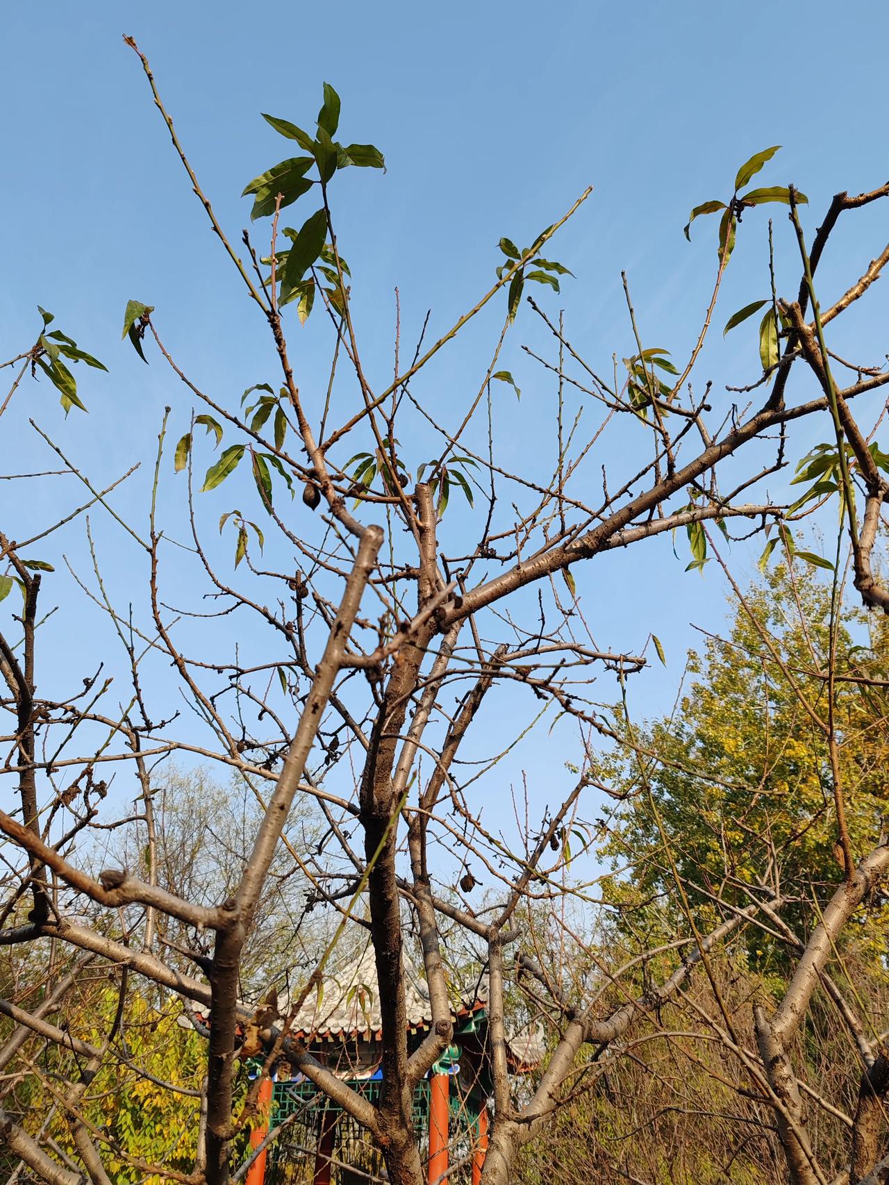晒图笔记大赛随手拍。