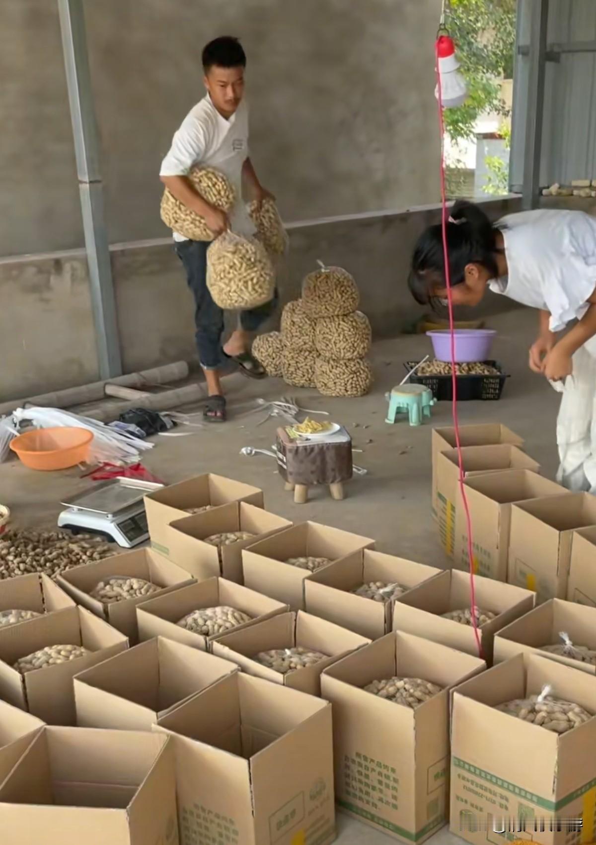 真是出乎意料，这小兄妹俩，半个月之前才问我电商怎么做，没想到行动力这么强，才不到