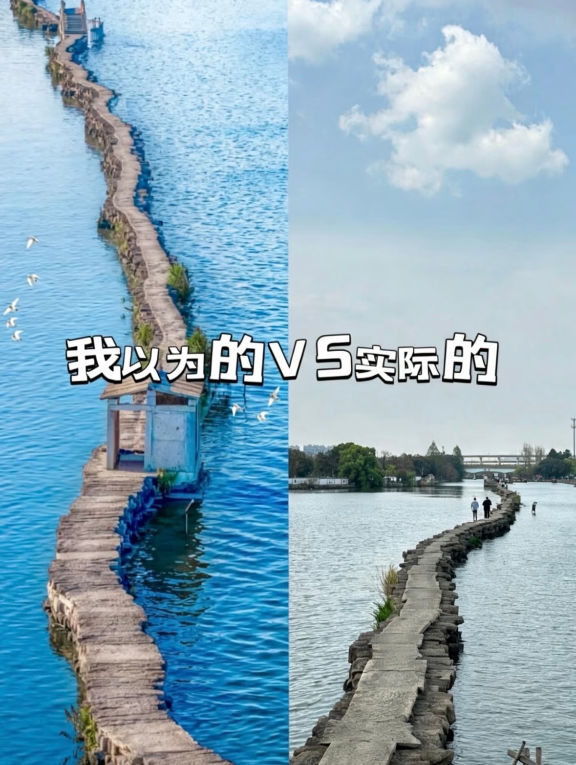 又是被各大博主骗的一天‼️小红书旅游帖 诈骗