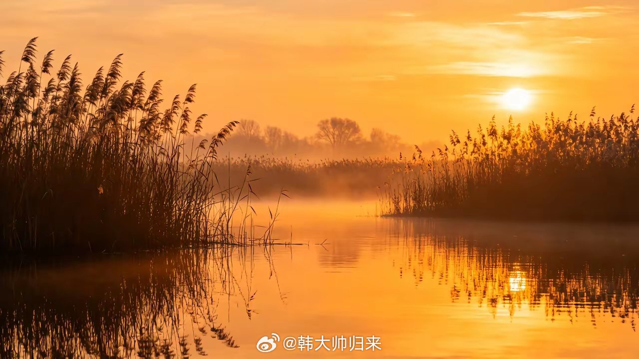 MLCC板块，调整后优先布局标的第一梯队（中军，调整首选，波动小、业绩稳）1. 