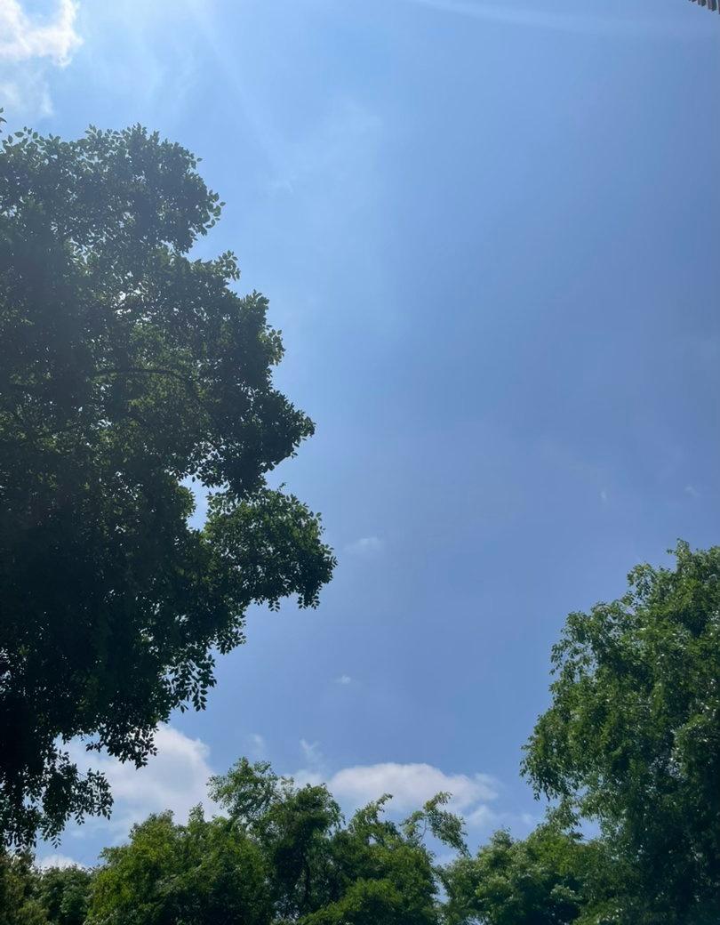 今天升温，夏天要来到。 ​​​