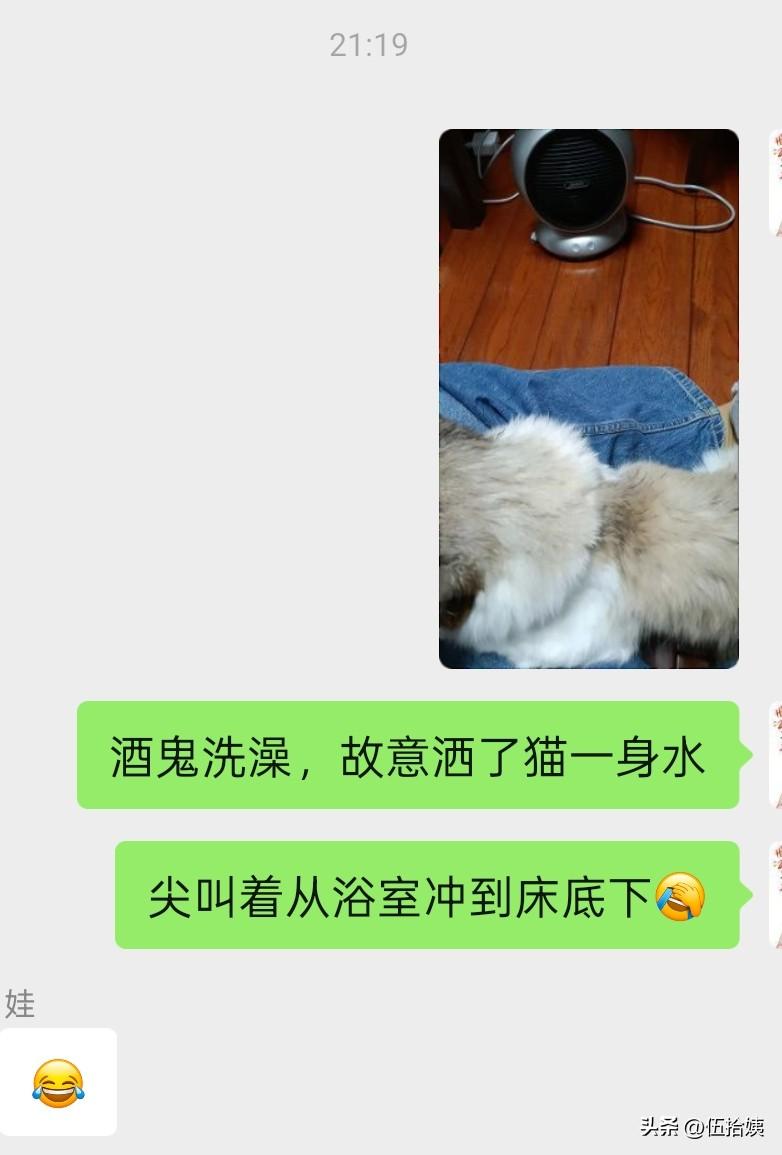 酒鬼到家，最好就是赶紧睡觉，要不然你都不知道他会干出啥事来[黑线]
今天老同志到