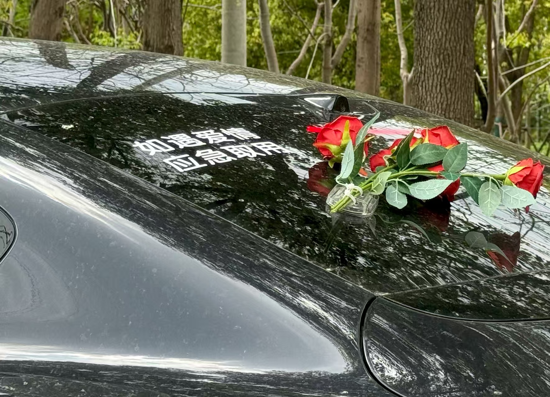 有点意思翻译一下：单身，随时来“聊”有点意思