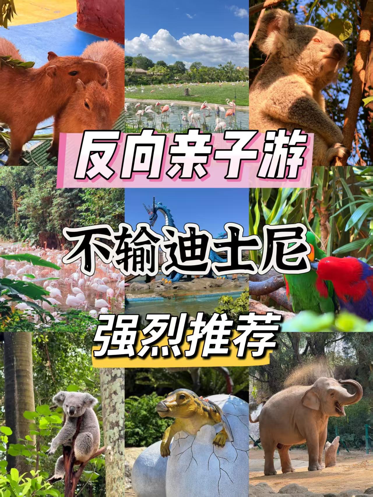 反向亲子游！这3个地方不输迪士尼，娃玩嗨了👨‍👩‍👧不想在迪士尼排两小时队