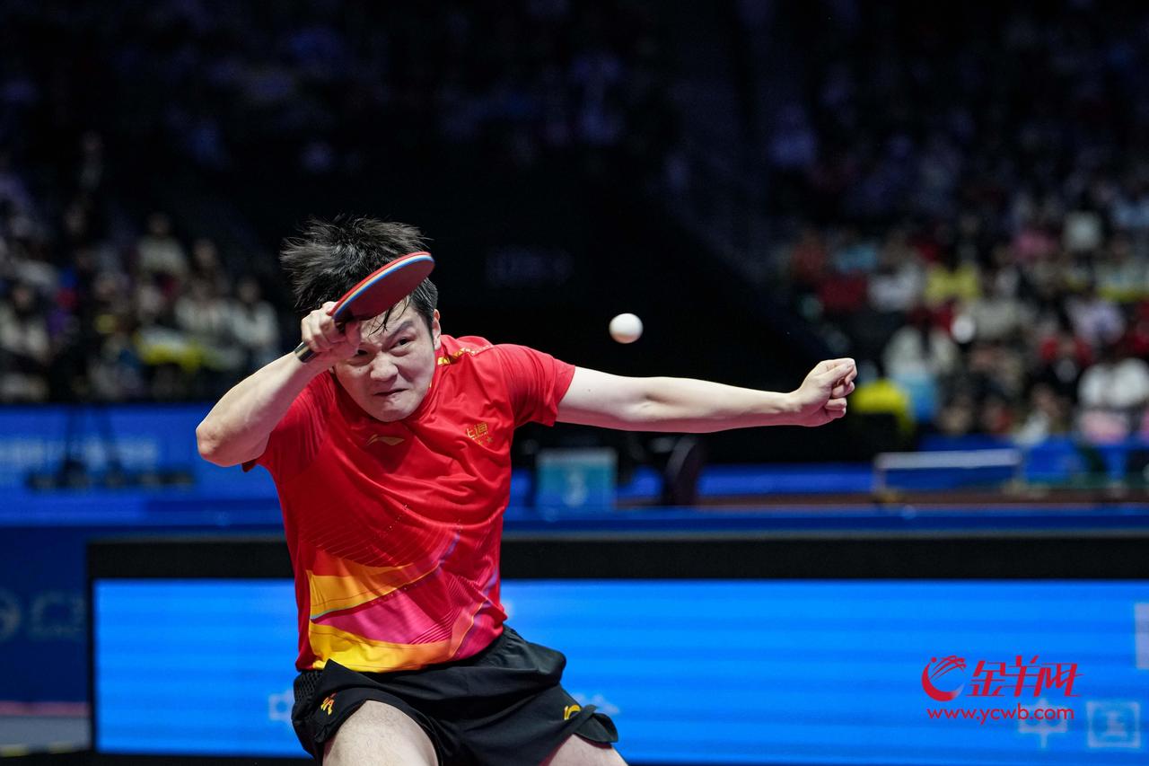 有一种想念叫樊振东
 作为繁星中的一员，我是从巴黎奥运会开始认识并了解东哥，也爱