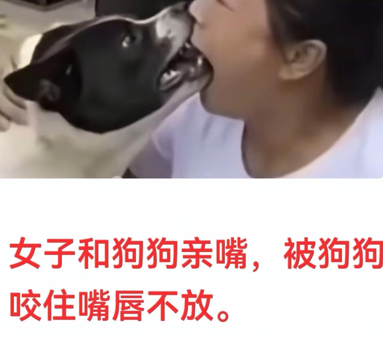 女子说：我家狗狗不咬人，不信你看！女子为了证明自己家狗狗不咬人，她毫不犹豫地抱起