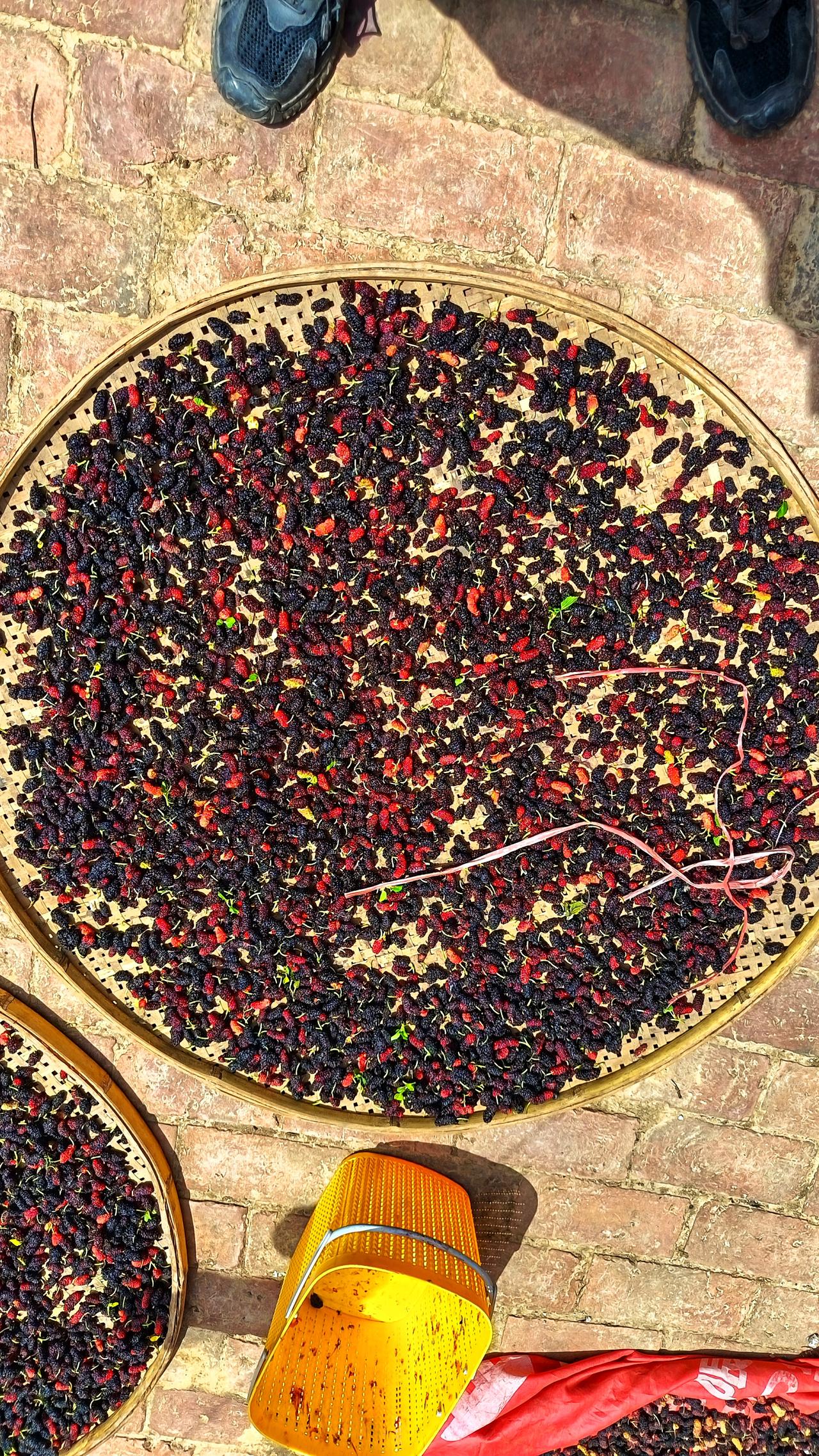 中医药是非物质文化遗产，请谨慎开启

当下这个时代，获取信息轻而易举，海量资讯扑