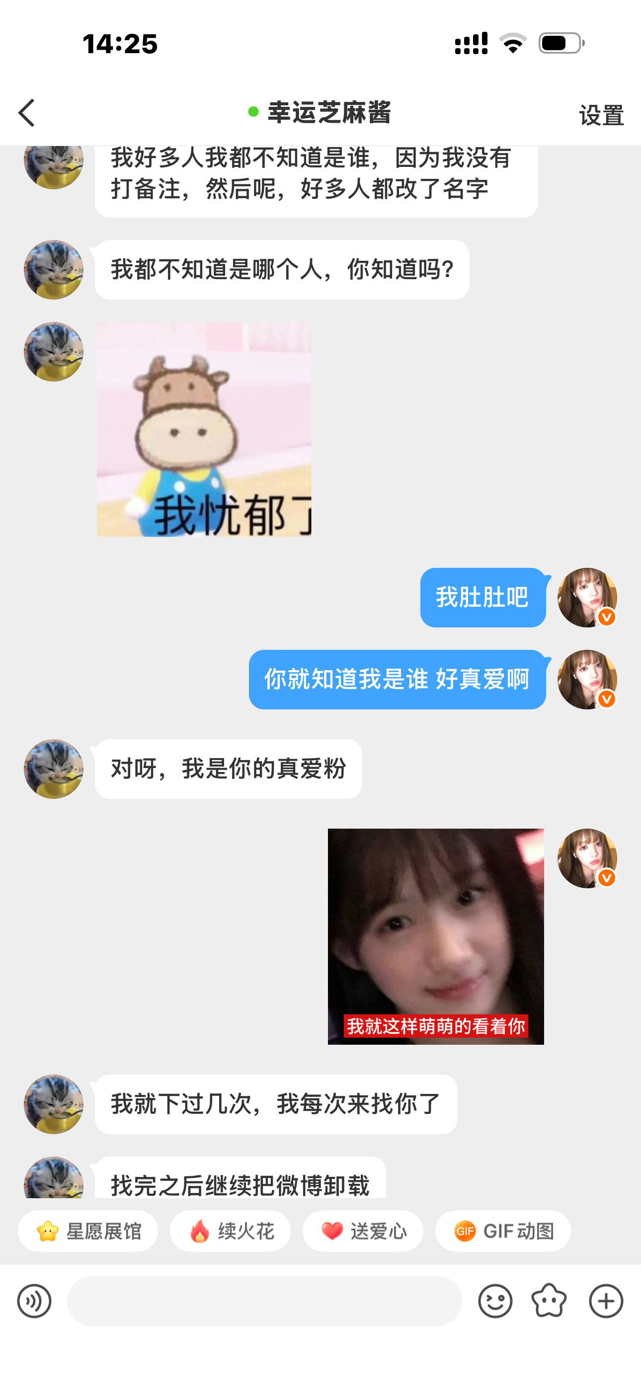 蓁爱降临 