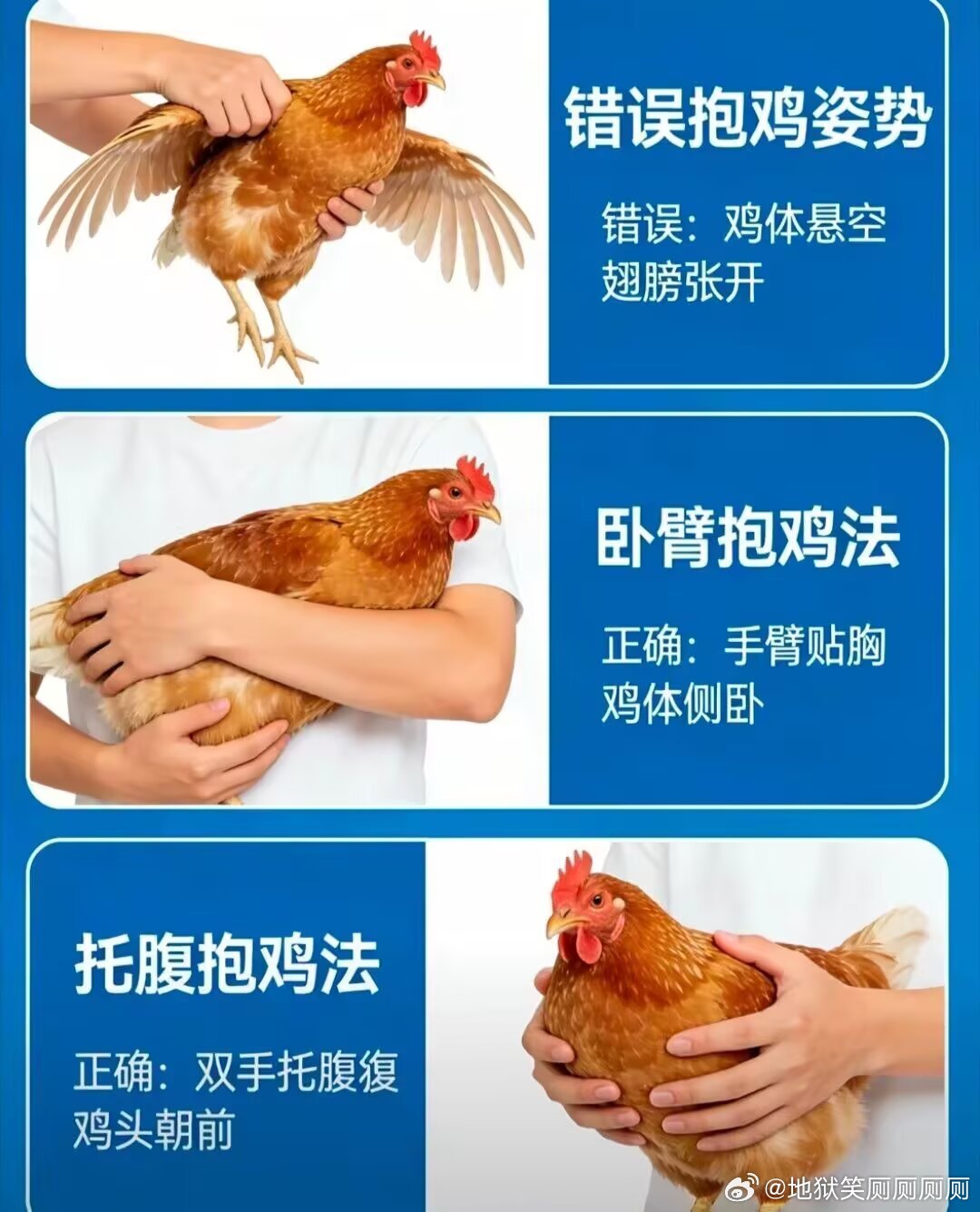 4342 