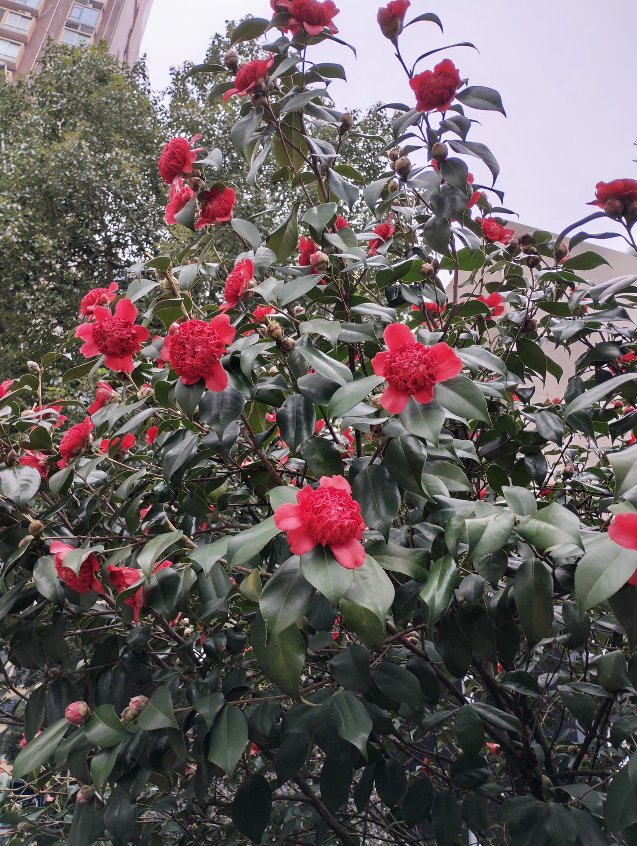 在看清事实后仍然选择善良，选择有担当。