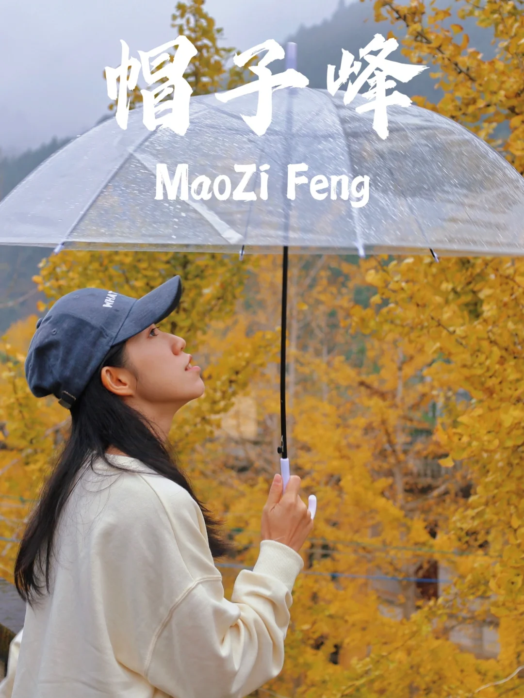 南雄银杏叶黄了🍂帽子峰避开人群高峰攻略📷