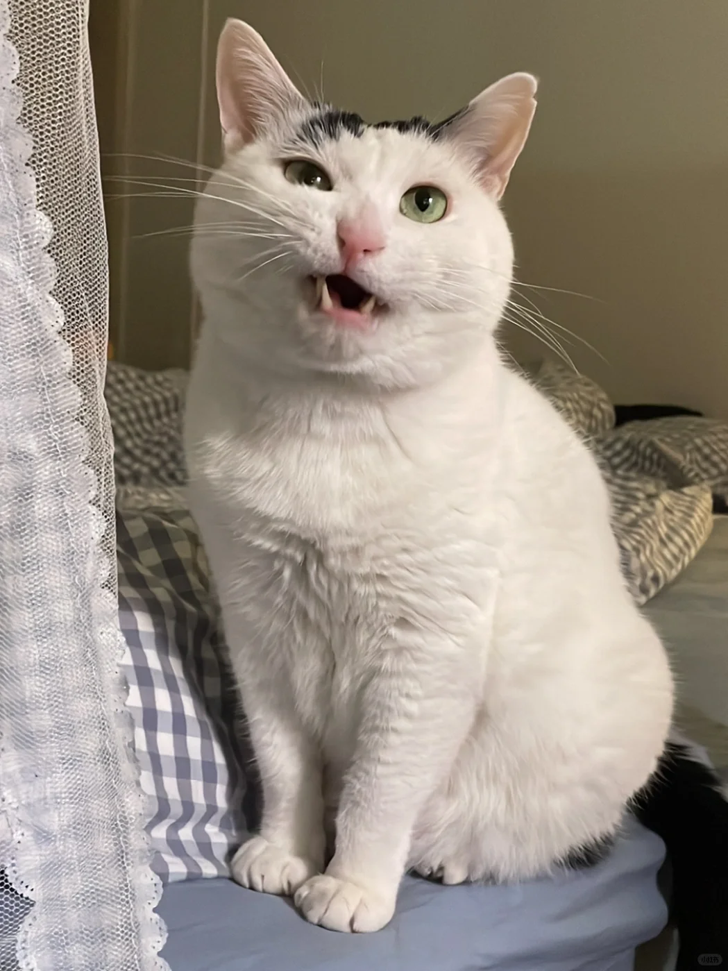 打了一天喷嚏但是一个没打出来的滋味谁懂😡