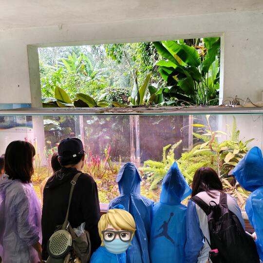 揭秘！西双版纳植物园里的食虫缸