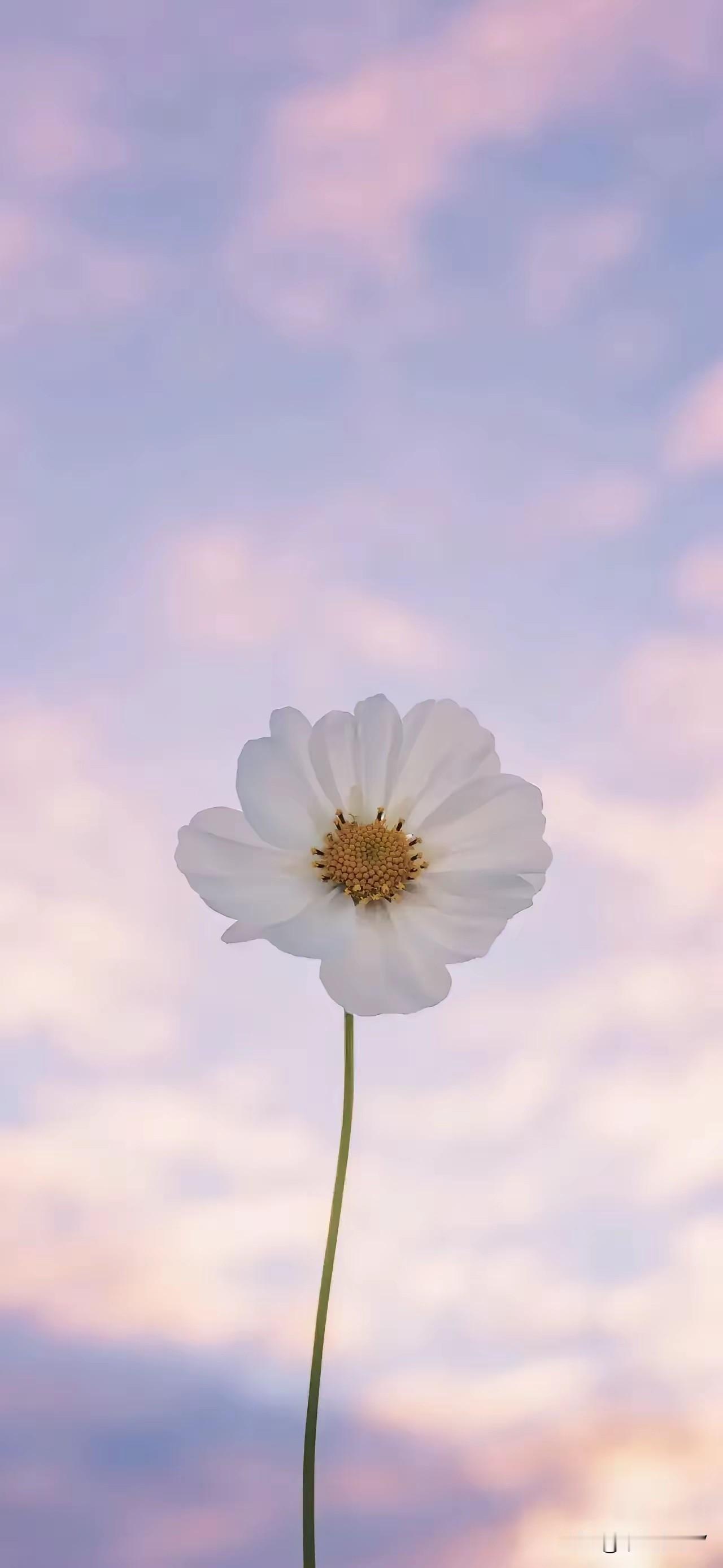 炒股的目标：赚点就行！

以后炒股一定要降低预期！绝对不再抱有幻想，想着靠炒股能
