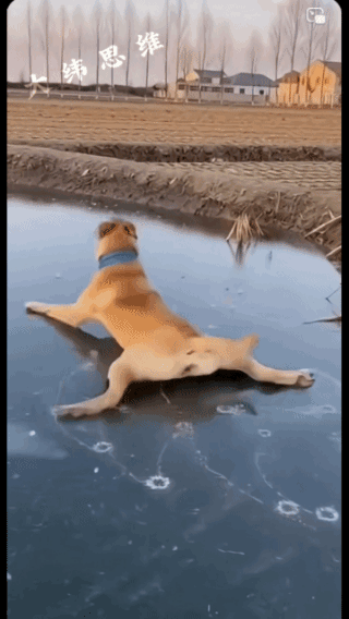 吓死宝宝了，
这些不是人的东西！