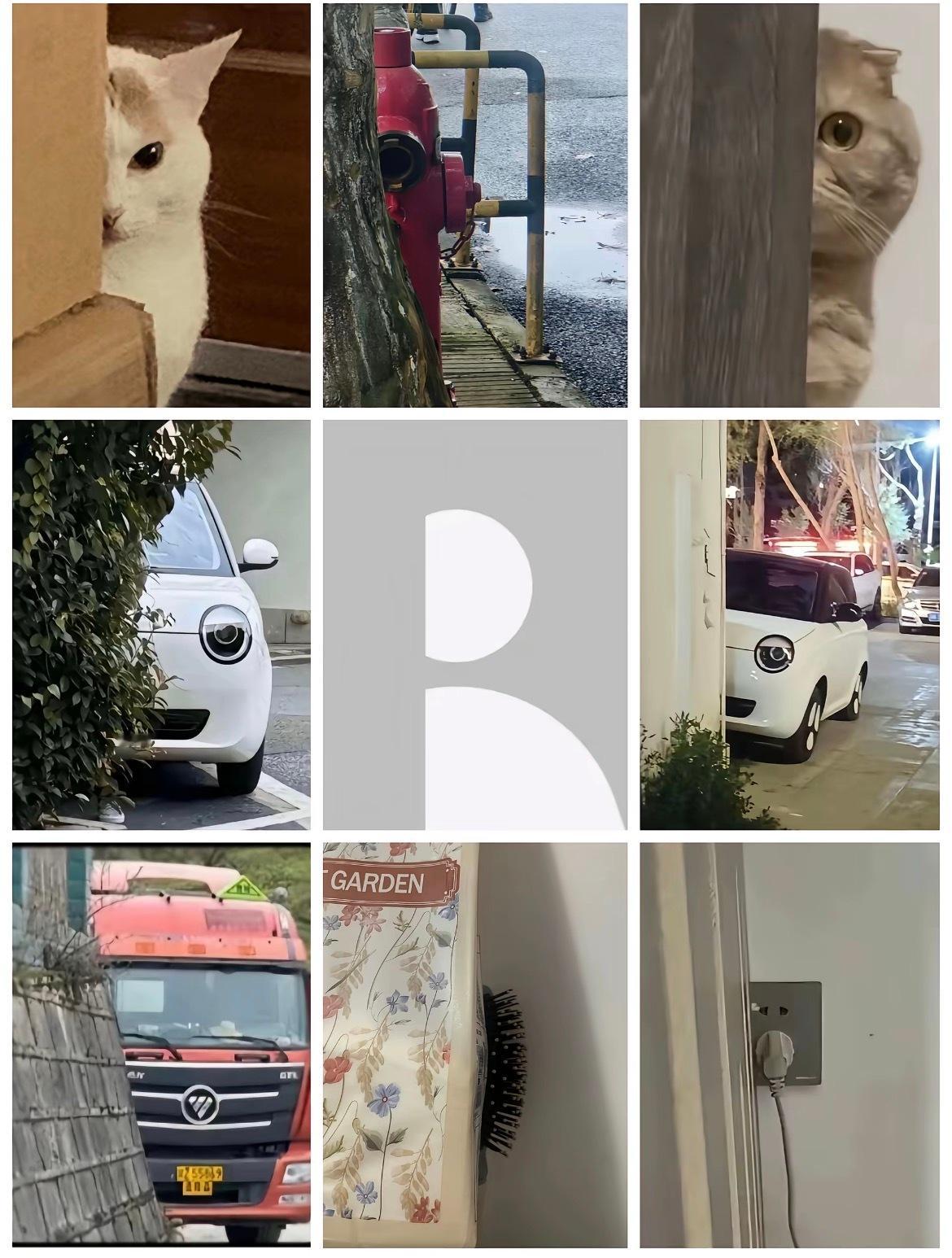 这图为啥能火真的无语[哈哈][哈哈] ​​​