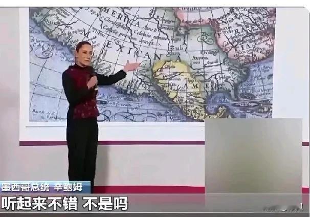 特朗普大手一挥，墨西哥湾直接变身“美国湾”，2025年1月20日起，美国率先通用