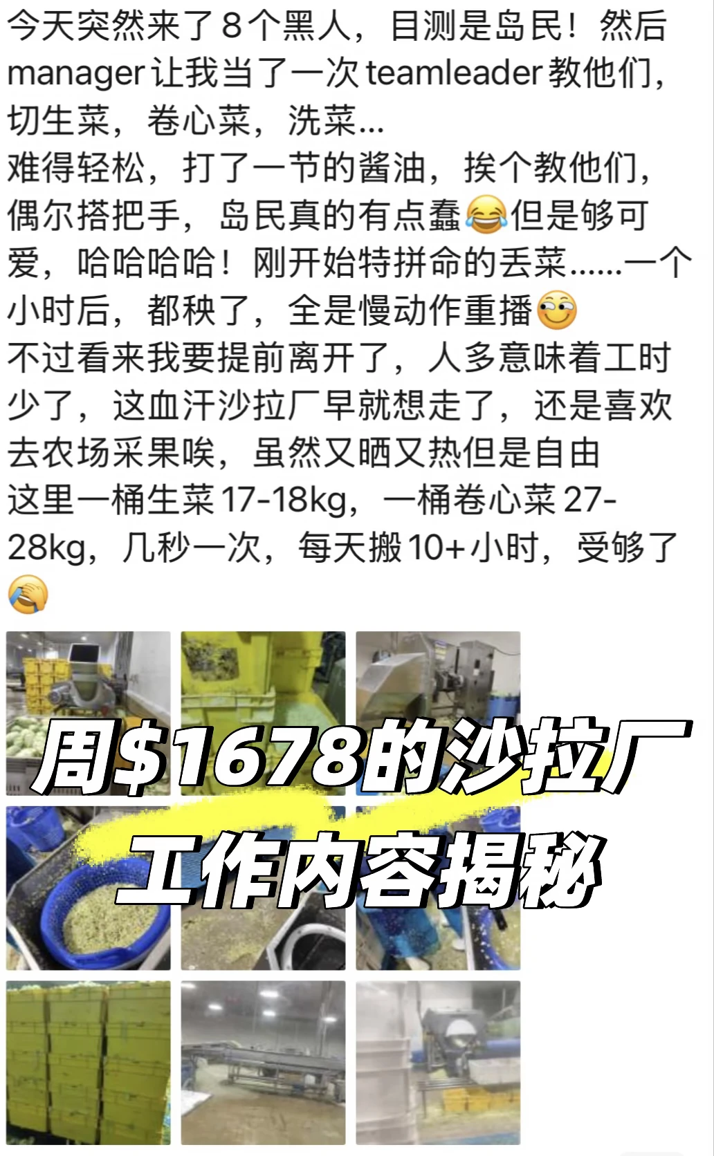 关于周$1678的沙拉厂有毒环境
