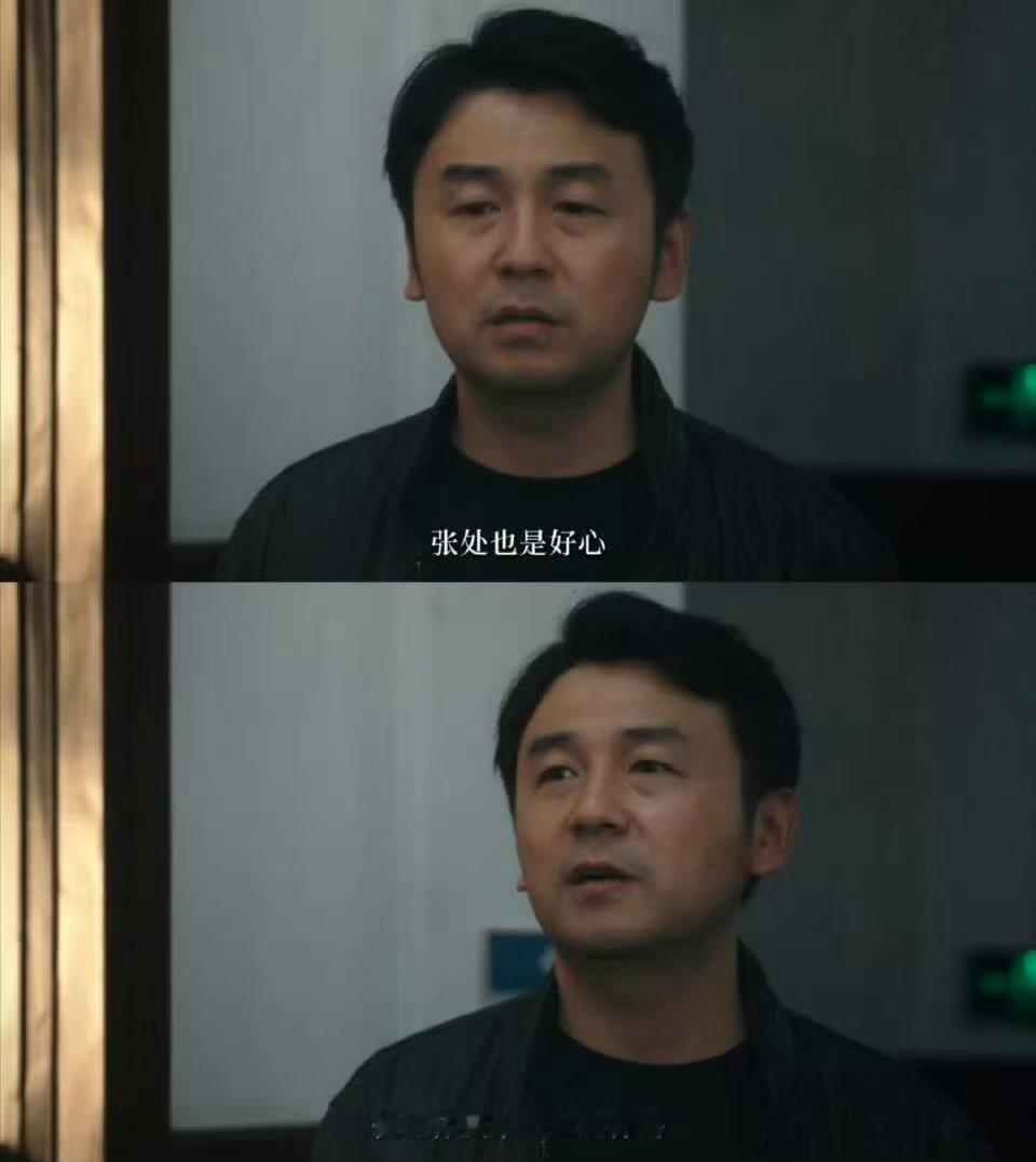 紫金陈的新严良是雷佳音低智商犯罪严良宇宙再添新角色，雷佳音演绎褪去悲情色彩，以清