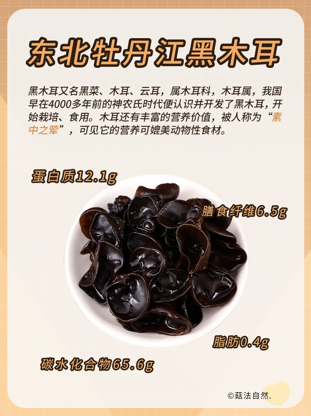 🔥人体清道夫千万别错过～