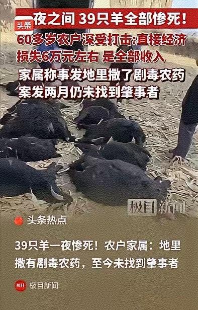 山西霍州一对六旬老人，竟因一次贪小便宜的举动，赔光了全家的养老本钱！
 
39只