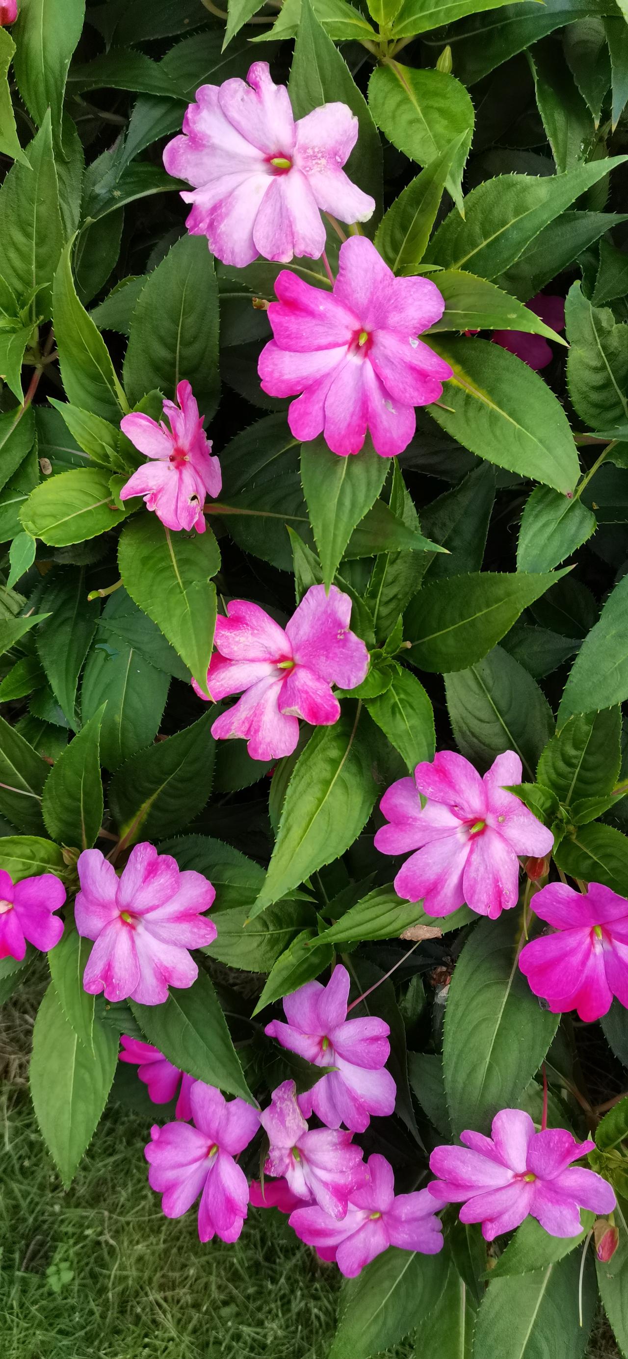 如何才能在股市中真正赚到钱？
不可否认，股市赚钱难度颇高。有句经典之言：一赚二平