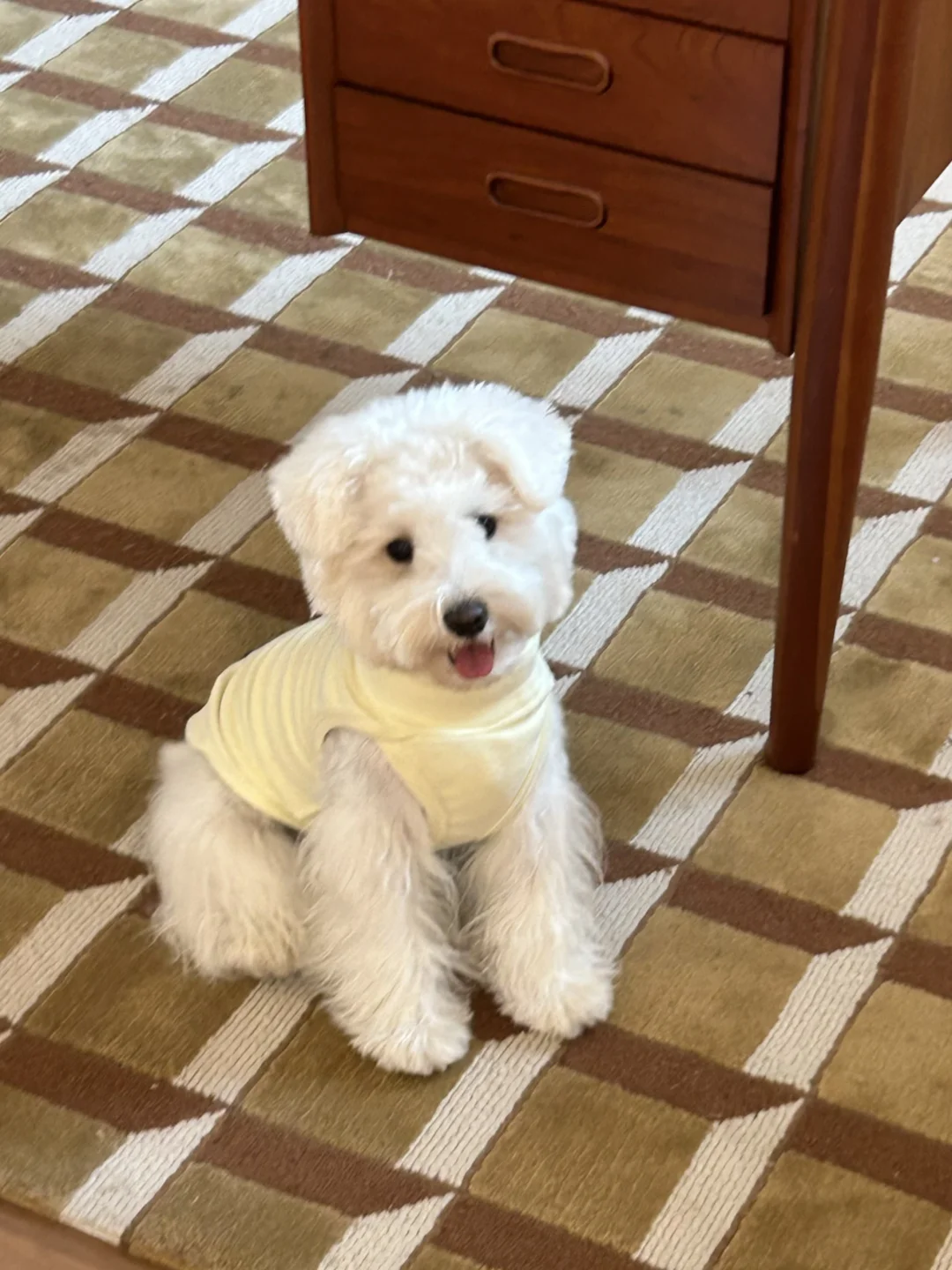 唔！这个奶黄色也太奶了💛